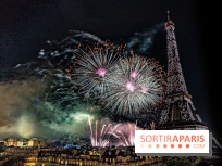Feu d'artifice du 14 juillet de Paris 2024, les photos 
