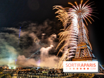 Feu d'artifice du 14 juillet de Paris 2024, les photos