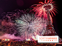 Feu d'artifice du 14 juillet de Paris 2024, les photos 