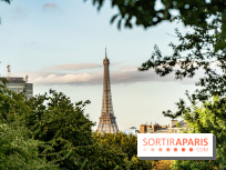 La terrasse dans un jardin avec vue Tour Eiffel du Marguerite 1606 au Domaine de la Reine Margot -  A7C1340