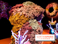 “Forêts astrales” : nos photos de l'exposition gratuite à voir à l'Institut suédois à Paris