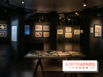 Exposition Malcolm de Chazal à la Halle Saint-Pierre - DSC 0992