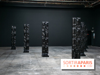 Exposition Barbara Chase-Riboud au Palais de Tokyo - :