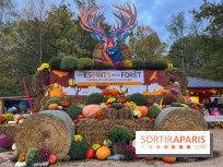 Les Esprits de la Forêt - IMG 5584