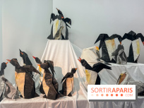 La faune en plis - nos photos - image00018