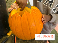 La Fête de la Citrouille - nos photos - image00024