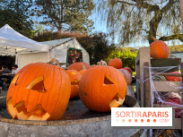 La Fête de la Citrouille - nos photos