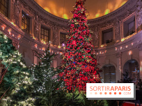 Noël 2024 au Château de Vaux-le-Vicomte : une expérience magique avec une patinoire