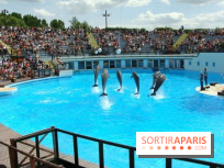 Parc Asterix
Dauphins