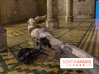 En deçà de l’invisible : Cécile Beau et Grégoire Scalabre s'exposent à l'Abbaye de Maubuisson - IMG 1504