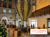 Les illuminations de Noël 2024 du Faubourg Saint Honoré avec Emmanuelle Béart - IMG 1566 jpg 2