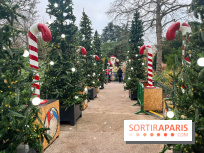 Noël au Jardin d'Acclimatation 2024