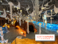 L'océan de Léa, l'exposition événement à la patinoire de Saint-Ouen - nos photos - image00007