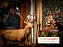 Musée de la chasse et de la nature - collections permanentes et visuels