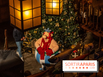Noël au Parc Astérix 2024 - nos photos -  Quai de lutèce 