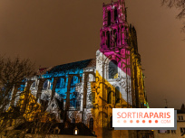 Lueurs de Mantes 2024, le parcours lumineux dans les Yvelines - photos -  A7C9158