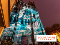 Lueurs de Mantes 2024, le parcours lumineux dans les Yvelines - photos -  A7C9178