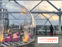Bulle de rêves : la terrasse d'hiver du restaurant George au sommet du Centre Pompidou
