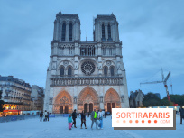 Notre-Dame de Paris - visuels - nuit