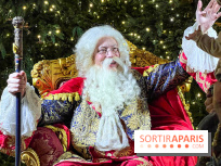 Le Parcours du Roi, la visite-spectacle de Noël 2024 du Château de Versailles - IMG 6301 jpg 2