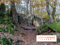 Randonnée à Fontainebleau : le sentier sur les pas de Denecourt jusqu’à la Tour Denecourt -  A7C7562