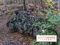 Randonnée à Fontainebleau : le sentier sur les pas de Denecourt jusqu’à la Tour Denecourt -  A7C7571