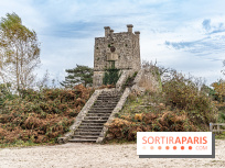 Randonnée à Fontainebleau : le sentier sur les pas de Denecourt jusqu’à la Tour Denecourt -  A7C7600