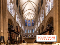 Visite de Notre-Dame de Paris -  A7C0194