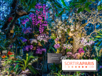 Mille et une orchidées 2025 - les photos