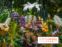 Mille et une orchidées 2025 - les photos