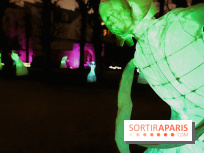 Exposition Silva Lumina au Centre Culturel Irlandais  - Silva Lumina 12 fotor 2025020692052