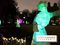 Exposition Silva Lumina au Centre Culturel Irlandais  - Silva Lumina 14 fotor 202502069205