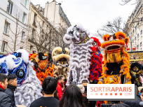 Défilé du Nouvel an Lunaire - Chinois 2025 Paris 13e - les photos -  A7C1606