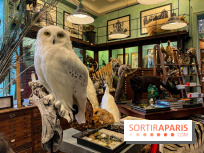 Deyrolle, l'incroyable cabinet de curiosités à Paris - nos photos - image00012