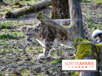 Lumigny Safari Reserve - nos photos