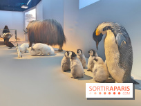Déserts : l'exposition scientifique se dévoile au Muséum d'Histoire naturelle de Paris