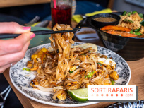 Buja restaurant végétarien thaï et Viet Paris 13e - photos - pad thai