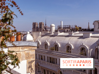 Rooftop de Dame des Arts, la terrasse panoramique sur les toits de Paris - photos  - A7C06287