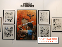 Rétrospective Grzegorz Rosinski, nos photos de l'expo gratuite à Paris - Expo Thorgal 16
