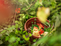 Campagne #1223 - Jardin21 Ateliers LevietPhoto 072025 2784