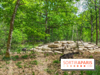 La Forêt des Loups