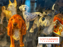 Collection dédié aux chiens - IMG 2313