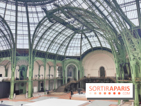 Grand Palais, visuels du monument parisien