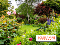 Le Jardin des Aubépines a Auffargis  - A7C01416