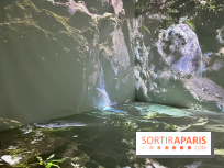 Topologie de l’Eau : Roches, Plantes et Vent