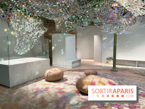 Transparence au Palais des enfants - nos photos - 2FA98A2D 266A 42DD 9135 8CD60C227361