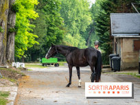 Visite guidée de l'École Mlitaire d'Équitation