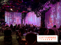 Wonderwoods