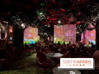 Wonderwoods - IMG 3818