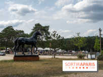 Le Grand Parquet Fontainebleau - photos  - A7C02547